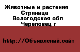  Животные и растения - Страница 2 . Вологодская обл.,Череповец г.